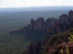 09:25 –
Fazendeiro descumpre embargo, insiste em criar gado no Parque de Chapada e entra na mira do MPF