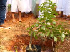 Pauta ambiental deixa de ser apenas um ato comemorativo em Várzea Grande