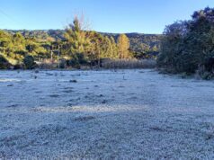 Frio persiste e geada se espalha no Sul; confira o clima neste sábado