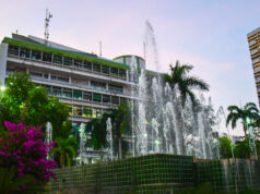 Veículos abandonados são recolhidos pela Semob em poucos dias de ação | Notícias