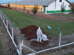 China amplia embargo e bane importação de toda carne de frango e derivados do Brasil