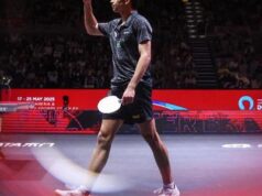 Calderano vence chinês e vai à final do Mundial de tênis de mesa