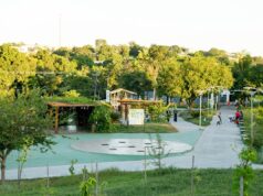 Parque receberá mudas de ipês em homenagem às vítimas de feminicídio após árvores serem arrancadas de área em Cuiabá | Mato Grosso