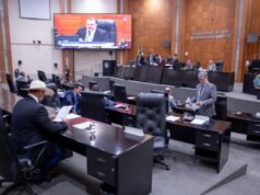 18:16 –
Assembleia decide entre estímulo à criação de aves exóticas ou marco de proteção da fauna