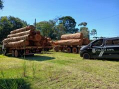 18:16 –
Polícia Civil apreende cargas ilegais de madeiras em duas empresas e prende cinco suspeitos
