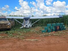 Mato Grosso é segundo estado que mais apreendeu cocaína em 2024, com mais de 23 toneladas