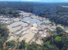 Ibama queima 18 escavadeiras e outros maquinários utilizados em garimpo ilegal na TI Sararé