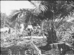 Edição que homenageia Silvino Santos”, o ‘cineasta da selva’, festival bate recorde de inscrições em Cuiabá