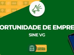 Sine-VG oferta 261 vagas de emprego, sendo seis destinadas às pessoas com deficiência – Sine-VG oferta 261 vagas de emprego, sendo seis destinadas às pessoas com deficiência