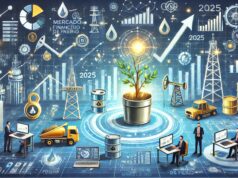 As ações que dão uma surra no Ibovespa em 5, 10, 15 e 20 anos – e o que isso mostra