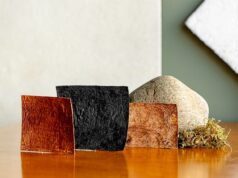 Empreendedor destaca razões para a indústria automotiva adotar estratégias mais sustentáveis