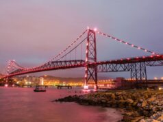 Relatório internacional aponta Florianópolis como modelo de ecossistema de startup