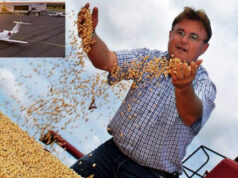 MP investiga ‘aeroporto do agro’ por apropriação de terras em MT