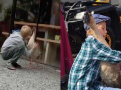 “Meu rapaz”: ganso Olivier é encontrado e revê amigo após 18 dias