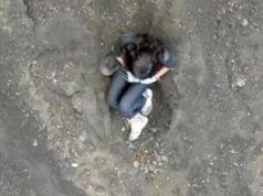 especialista cita amadorismo de parque