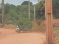 Servidores flagram tentativa de descarte irregular de lixo no Costa Verde