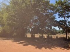 Esbulho e desmatamento: juíza ordena despejo de 70 famílias em fazenda de 2.4 mil hectares em MT