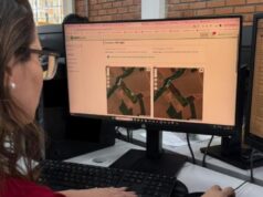 Em um mês, versão 2.0 do CAR Digital agiliza análise e valida 12 mil propriedades rurais