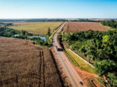 Governo de MT irá entregar mais de 6 mil km de asfalto em rodovias em 2025; investimento no ano passado superou R$ 4 bi