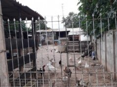 Juíza determina reintegração de posse e manda invasor desocupar terreno na capital