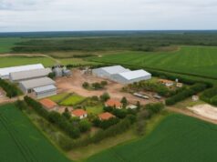 Fazenda em MT à venda por R$ 5,8 bilhões é a mais cara do Brasil: estado é destaque no Top-10