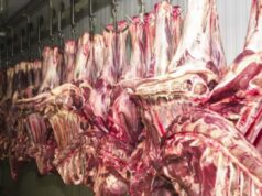 Marfrig comunica ao governo parada na produção de carne destinada aos EUA em Mato Grosso