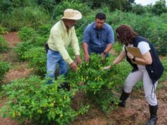 Semana de visitas técnicas valoriza agricultura familiar em Várzea Grande