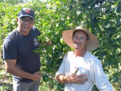 Várzea Grande troca experiências com Nova Brasilândia sobre agricultura familiar