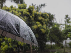 Clima: chuvas e geadas continuam a castigar parte do país; confira