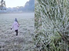 Frio começa a dar lugar a temperaturas mais elevadas; confira o clima