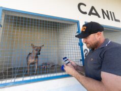 Prefeitura de Rondonópolis | Prefeito Cláudio Ferreira anuncia serviços de bem-estar animal através do aplicativo