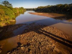 Rio Vermelho atinge nível crítico de 1,13 metro em Rondonópolis, o mais baixo em décadas