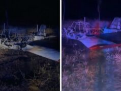 Piloto morre carbonizado em queda de avião no interior de MT: veja vídeo