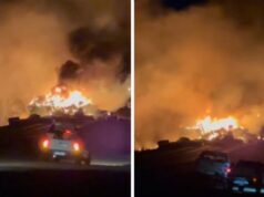 Motorista morre carbonizado em colisão entre caminhão de algodão e reboque na BR-364