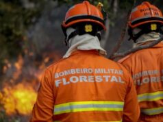 Corpo de Bombeiros extingue dois incêndios florestais e combate 24 focos no domingo