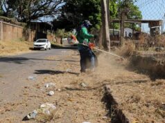 Prefeitura realiza primeira grande limpeza e beneficia mais de sete bairros