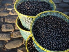 COP30 em Belém veta açaí, alimento presente em eventos anteriores