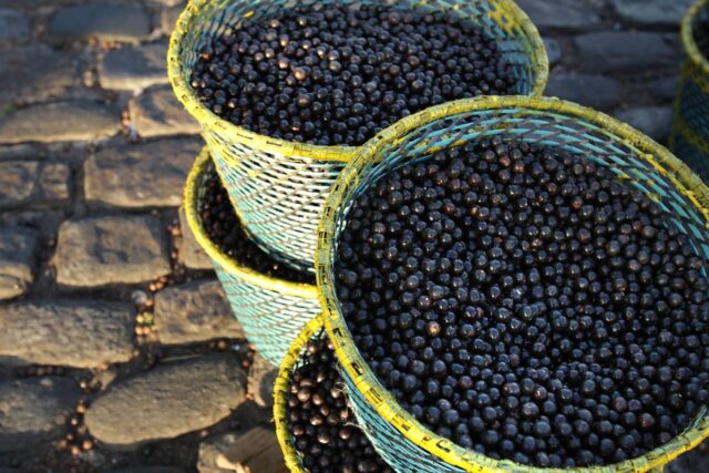 Acai-7.jpg