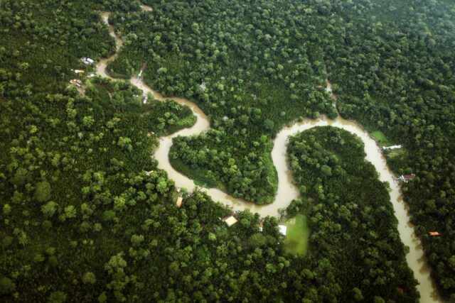 COP30-com-reducao-de-55-no-desmatamento-Para-leva-resultado-inedito.jpg