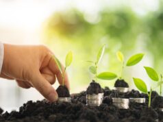 Plano de Transformação Ecológica pode elevar PIB em 27% até 2030