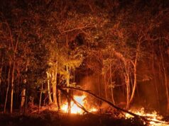 Queimadas no Cerrado são quase o dobro da Amazônia em 2025
