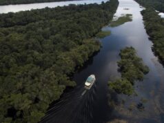 Avanços tecnológicos como a IA cooperam com a preservação do Brasil