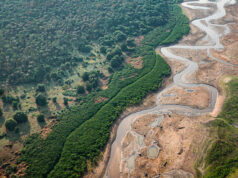 Governo Lula veta 63 trechos de projeto sobre licenciamento ambiental
