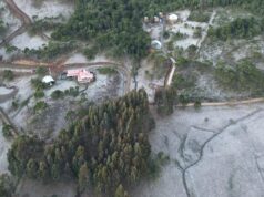 Fotos: geada forma paisagens encantadoras em Santa Catarina