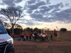 Abelhas atacam grupo de Legendários em retiro e 10 são hospitalizados