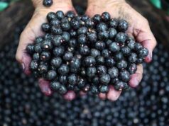 Governos vão comprar alimentos tarifados por Trump; veja lista