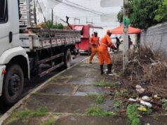 PE: Olinda corre risco de ficar sem coleta de lixo, alerta TCE