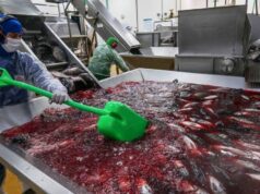 Pequenas cidades, grandes estragos – revista piauí