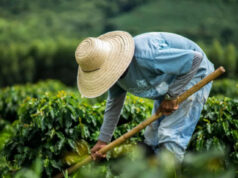 Tarifaço impõe férias coletivas na indústria exportadora