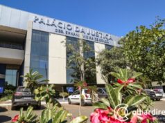 Seguradora terá que indenizar produtor por perda de safra causada por excesso de chuvas